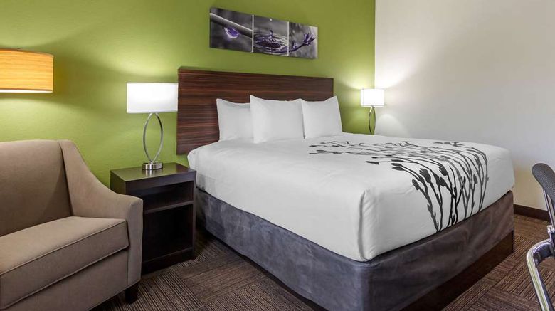 <b>Sleep Inn and Suites Tampa South Room</b>. Images powered by <a href="https://iceportal.shijigroup.com/" title="IcePortal" target="_blank">IcePortal</a>.