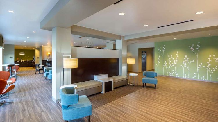 Sleep Inn and Suites Tampa South Lobby