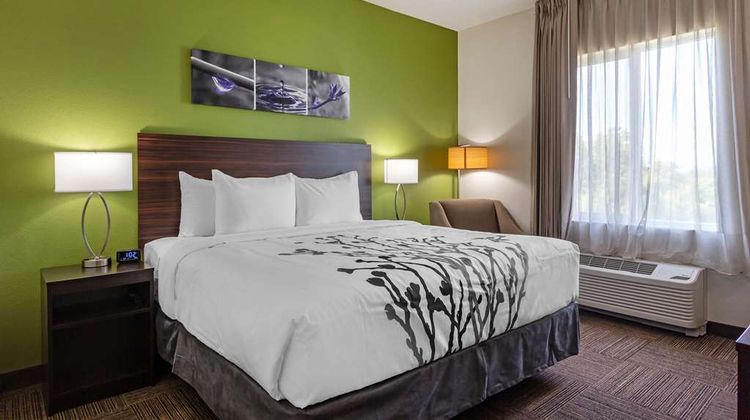 Sleep Inn and Suites Tampa South Room