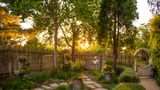 Cambria Pines Lodge Other