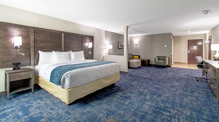 Comfort Suites Humble Room