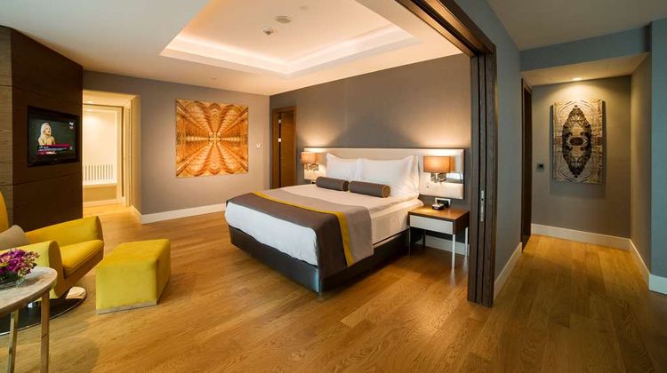 Radisson Blu Hotel Kayseri Suite