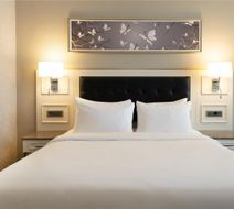 Radisson Blu Hotel Diyarbakir Room