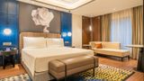 Radisson Blu Hotel Ahmedabad Suite