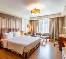 Radisson Blu Hotel Indore Room