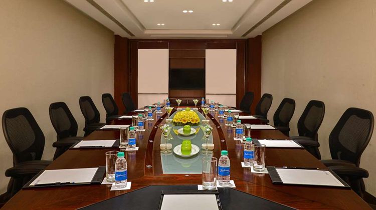 Radisson Blu Jaipur Meeting