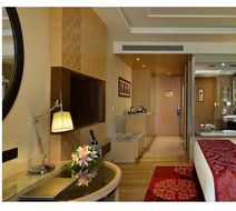Radisson Blu Jaipur Room