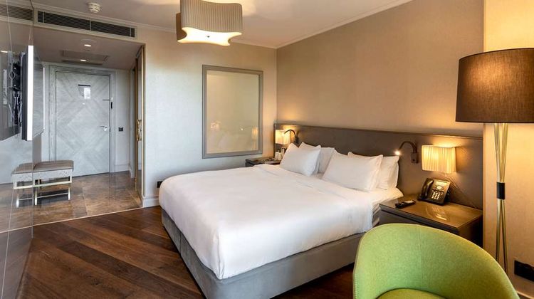 Radisson Blu Hotel, Istanbul Ottomare Other