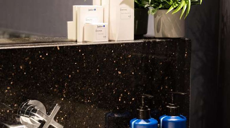<b>Radisson Blu Hotel Istanbul Pera Other</b>. Images powered by <a href="https://iceportal.shijigroup.com/" title="IcePortal" target="_blank">IcePortal</a>.
