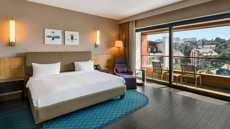 Radisson Blu Hotel & Spa, Istanbul Tuzla Room