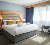 Radisson Blu Hotel & Spa, Cork Room