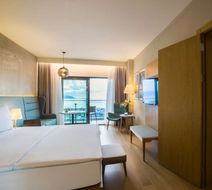 Radisson Blu Hotel, Trabzon Room