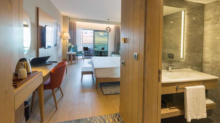 Radisson Blu Hotel, Trabzon Room