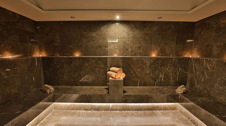 <b>Radisson Blu Hotel, Trabzon Spa</b>. Images powered by <a href="https://iceportal.shijigroup.com/" title="IcePortal" target="_blank">IcePortal</a>.