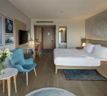 Radisson Blu Hotel, Trabzon Room