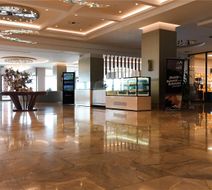 Radisson Blu Hotel, Trabzon Lobby