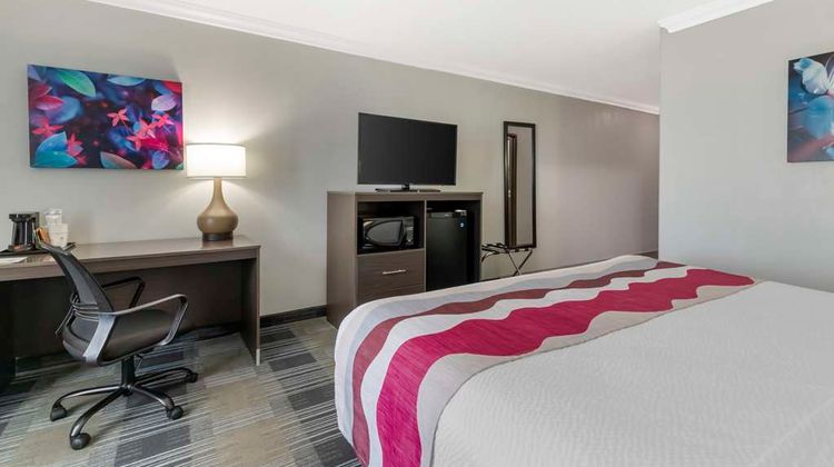 Best Western Medical Center North Inn Room