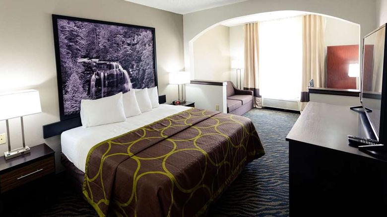 <b>Super 8 by Wyndham High Point Room</b>. Images powered by <a href="https://iceportal.shijigroup.com/" title="IcePortal" target="_blank">IcePortal</a>.
