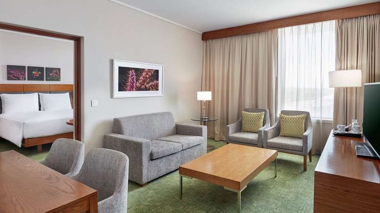 Hilton Garden Inn Gaborone Other