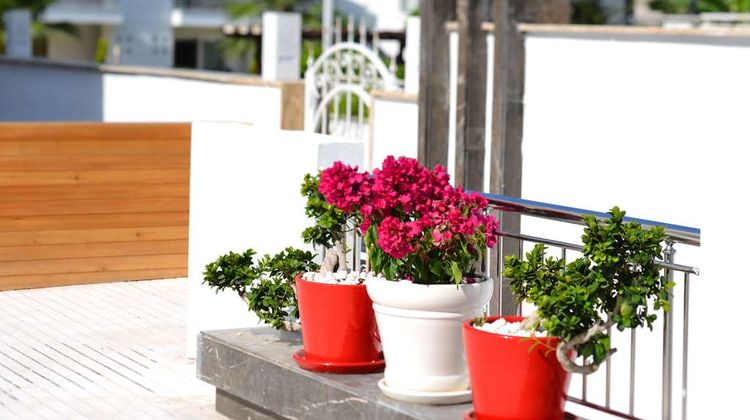 Doc's Hotel Kemer Exterior