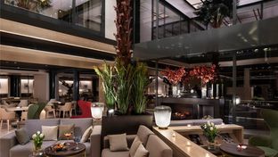 The Level at Melia Castilla