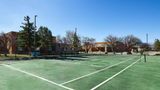 <b>Don Fernando de Taos, a Tapestry Hotel Recreation</b>. Images powered by <a href="https://iceportal.shijigroup.com/" title="IcePortal" target="_blank">IcePortal</a>.