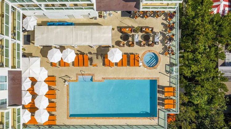 Arya Hotel & Suites Coconut Grove Pool