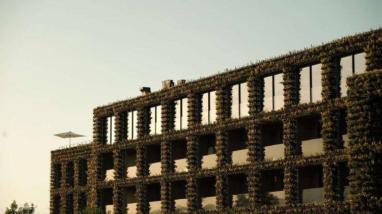Tsinandali Estate Exterior