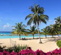Coconut Court Beach Hotel Exterior