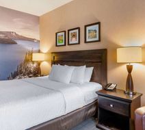 Clarion Inn & Suites Medford Room