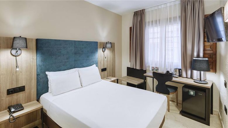 <b>Sercotel Alfonso VI Room</b>. Images powered by <a href="https://iceportal.shijigroup.com/" title="IcePortal" target="_blank">IcePortal</a>.