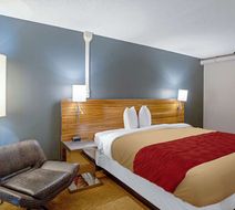 Quality Inn Room