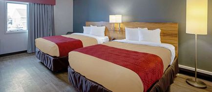 Quality Inn Room