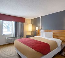 Quality Inn Room