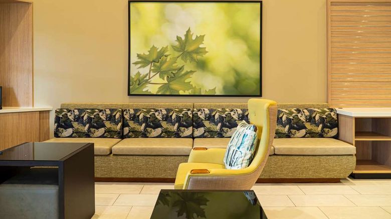 <b>Wyndham Garden McAllen at La Plaza Mall Lobby</b>. Images powered by <a href="https://iceportal.shijigroup.com/" title="IcePortal" target="_blank">IcePortal</a>.