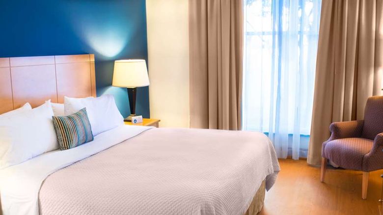 <b>Wyndham Garden McAllen at La Plaza Mall Suite</b>. Images powered by <a href="https://iceportal.shijigroup.com/" title="IcePortal" target="_blank">IcePortal</a>.