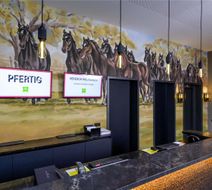 Ibis Styles Vechta Exterior
