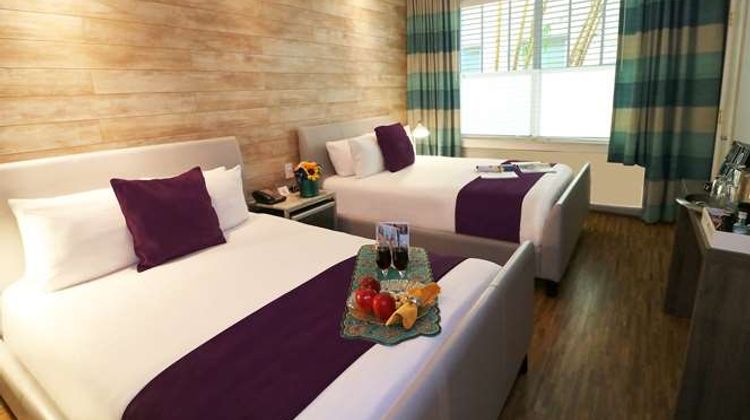 Shelley Hotel Room
