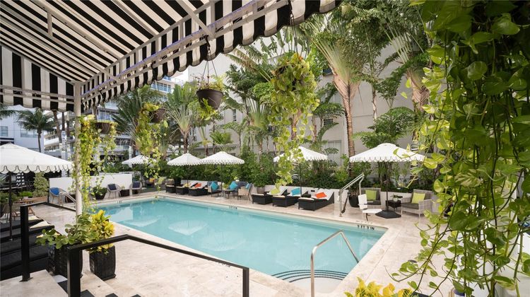 Hotel Croydon Miami Beach Pool