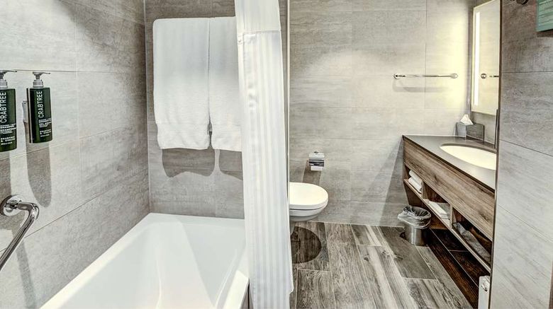 <b>Hilton Garden Inn Wiener Neustadt Room</b>. Images powered by <a href="https://iceportal.shijigroup.com/" title="IcePortal" target="_blank">IcePortal</a>.