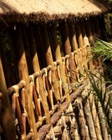 Jambo Impala EcoLodge