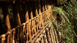 Jambo Impala EcoLodge