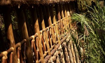 Jambo Impala EcoLodge
