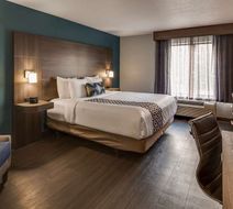 Best Western Plus Champaign/Urbana Inn Room
