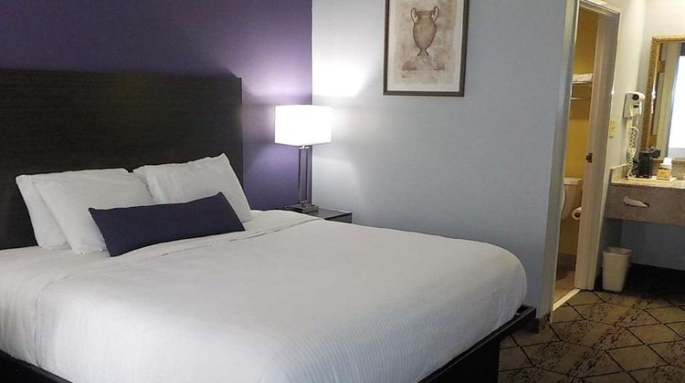 SureStay Plus Hotel by BW Warner Robins Room