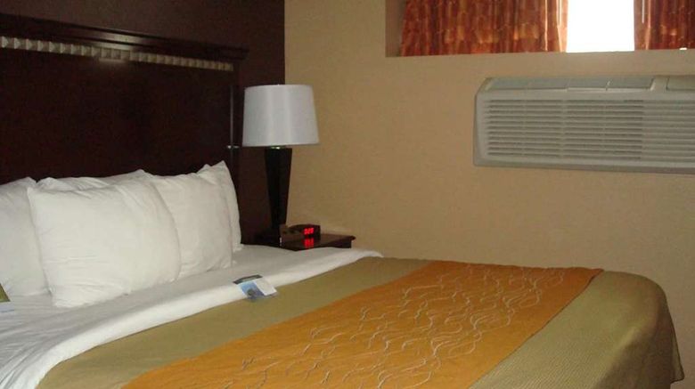 <b>Travelodge by Wyndham Ozone Park Room</b>. Images powered by <a href="https://iceportal.shijigroup.com/" title="IcePortal" target="_blank">IcePortal</a>.