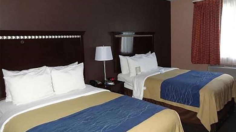 <b>Travelodge by Wyndham Ozone Park Room</b>. Images powered by <a href="https://iceportal.shijigroup.com/" title="IcePortal" target="_blank">IcePortal</a>.