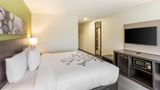 <b>Sleep Inn Logan Room</b>. Images powered by <a href="https://iceportal.shijigroup.com/" title="IcePortal" target="_blank">IcePortal</a>.