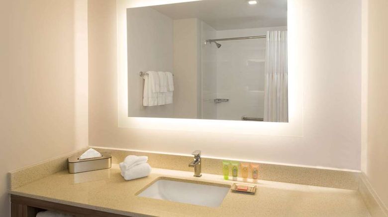 <b>Wyndham Garden FLL Airport & Cruise Port Room</b>. Images powered by <a href="https://iceportal.shijigroup.com/" title="IcePortal" target="_blank">IcePortal</a>.