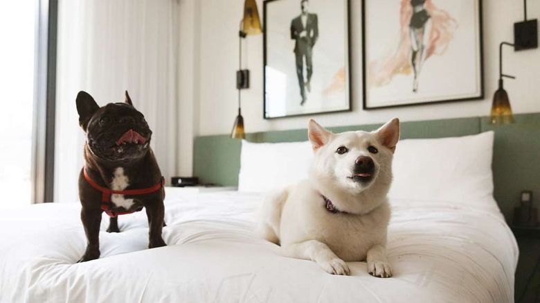 <b>The Godfrey Hotel Hollywood Room</b>. Images powered by <a href="https://iceportal.shijigroup.com/" title="IcePortal" target="_blank">IcePortal</a>.